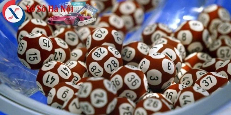 Soi Cầu Miền Nam Vip